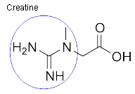 creatine